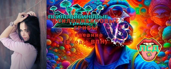 PSILOCYBIN Абинск