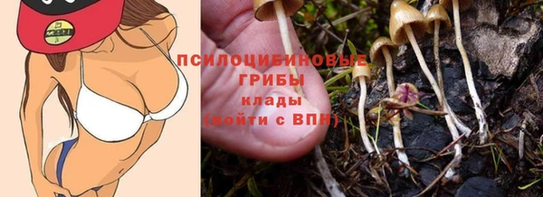 не бодяженный Абдулино