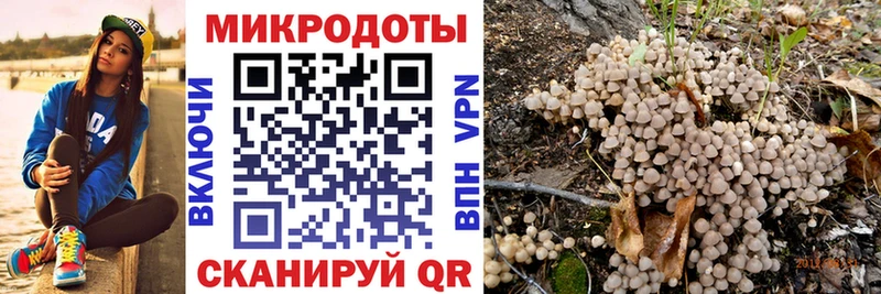 наркота  Усть-Илимск  MEGA зеркало  Галлюциногенные грибы MAGIC MUSHROOMS 