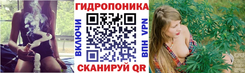 Конопля индика  где найти наркотики  mega рабочий сайт  Усть-Илимск 